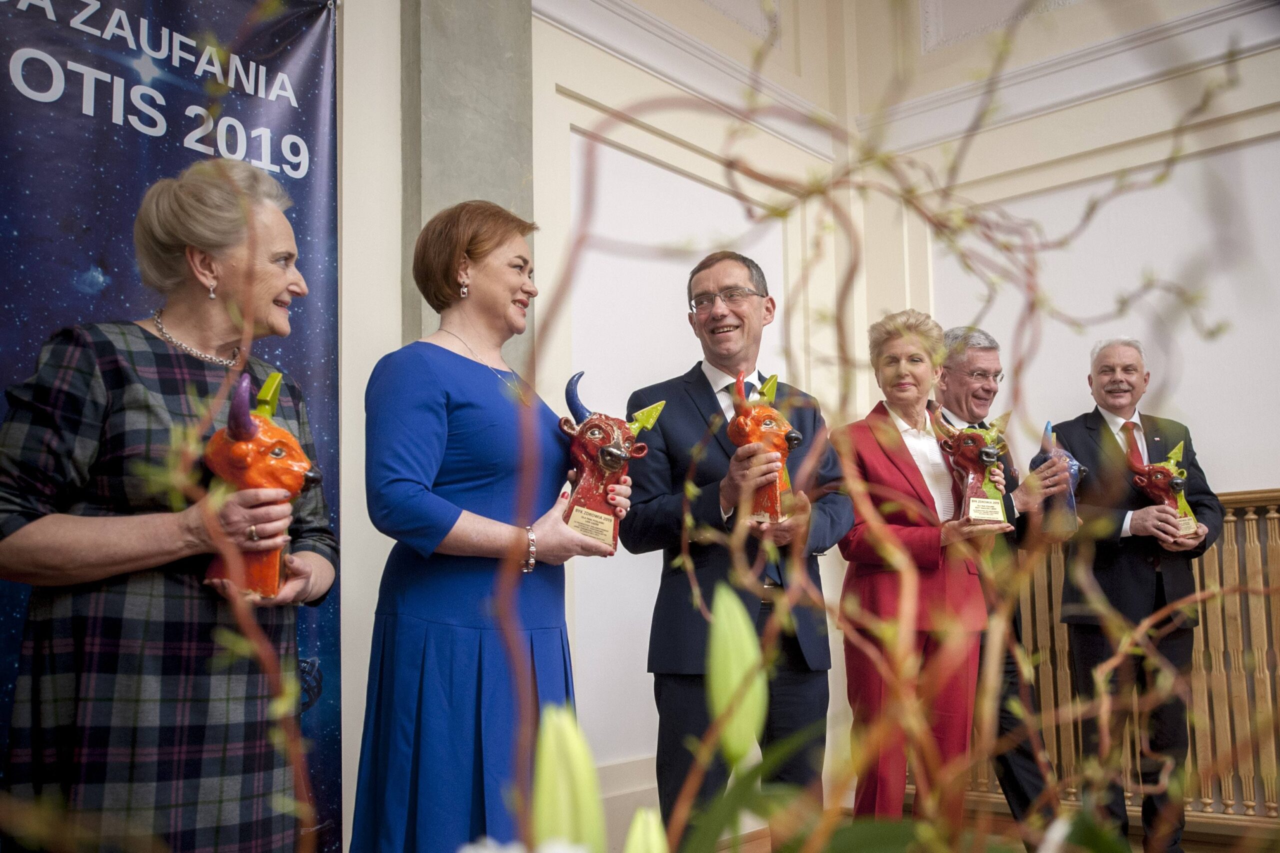 Byki Zdrowia/Tomasz Adamaszek